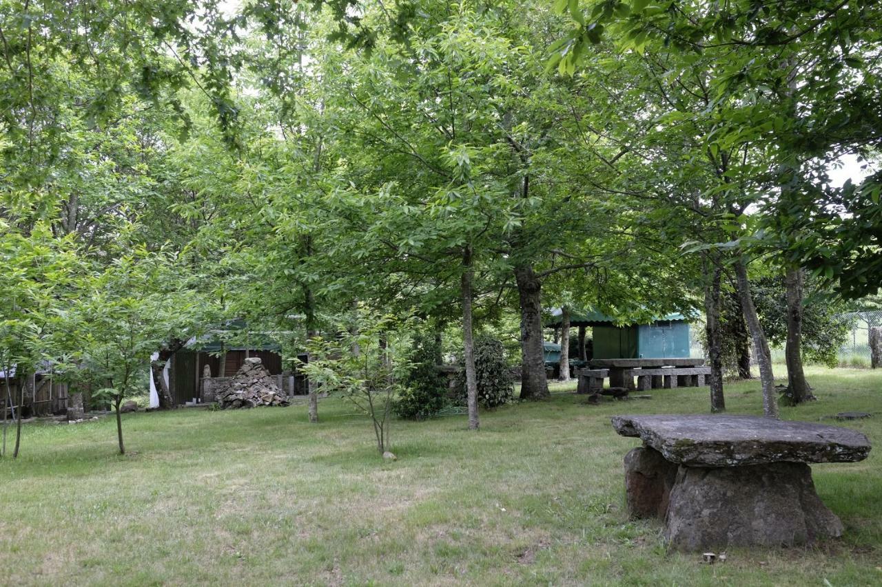 Willa Casa Do Aido De Cima Vale de Cambra Zewnętrze zdjęcie